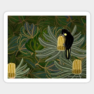 Golden Banksias and Black Cockatoo Sticker